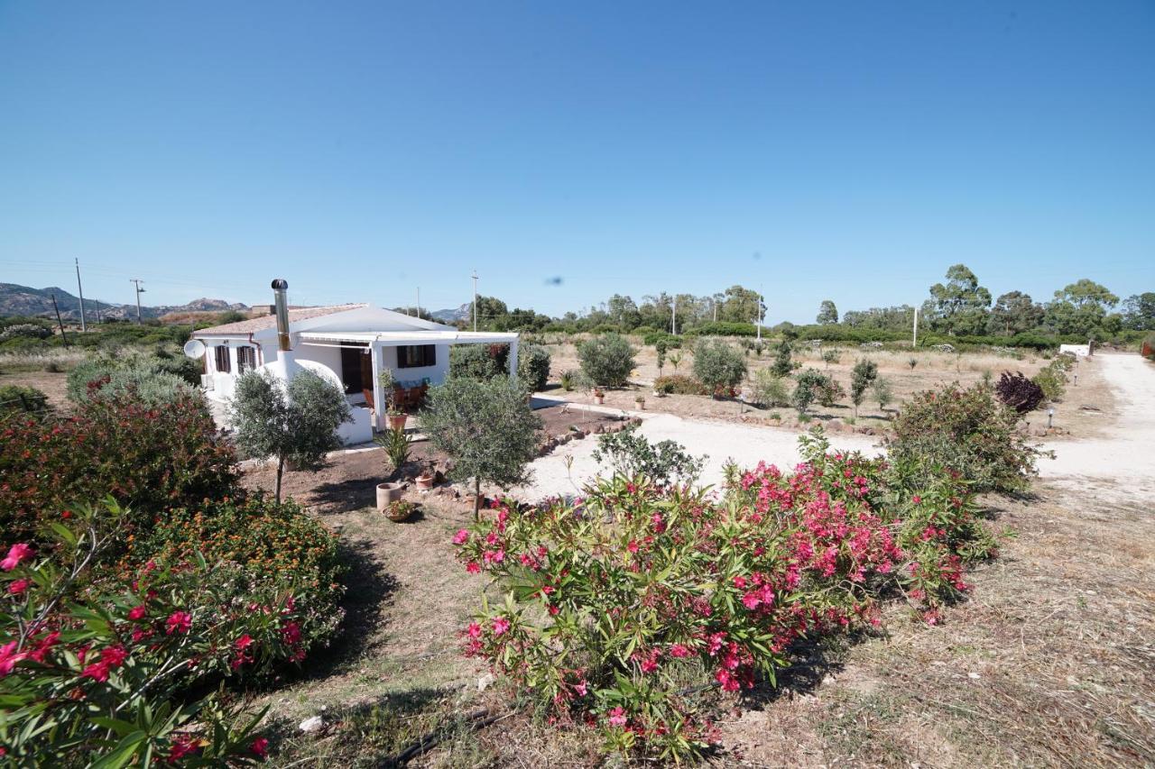 Villa Da Luciana Orosei Eksteriør billede
